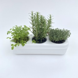 kit pour cultiver des légumes