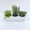 kit pour cultiver des légumes